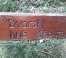 POLHOGRAJSKA GRMADA 898m, 01.07.2018 - PS PT Nova Gorica s PD PT Ljubljana